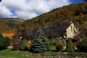 Гостиница Hotel, Bungalows y Camping Viu  Виу